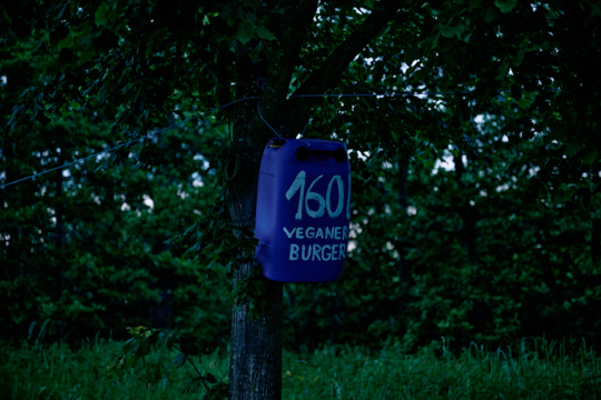 Wir sehen einen blauen Kanister, der an einem Baum hängt. Auf dem Kanister steht: 160 Liter, veganer Burger.